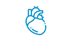 Cardiac Sciences Icon